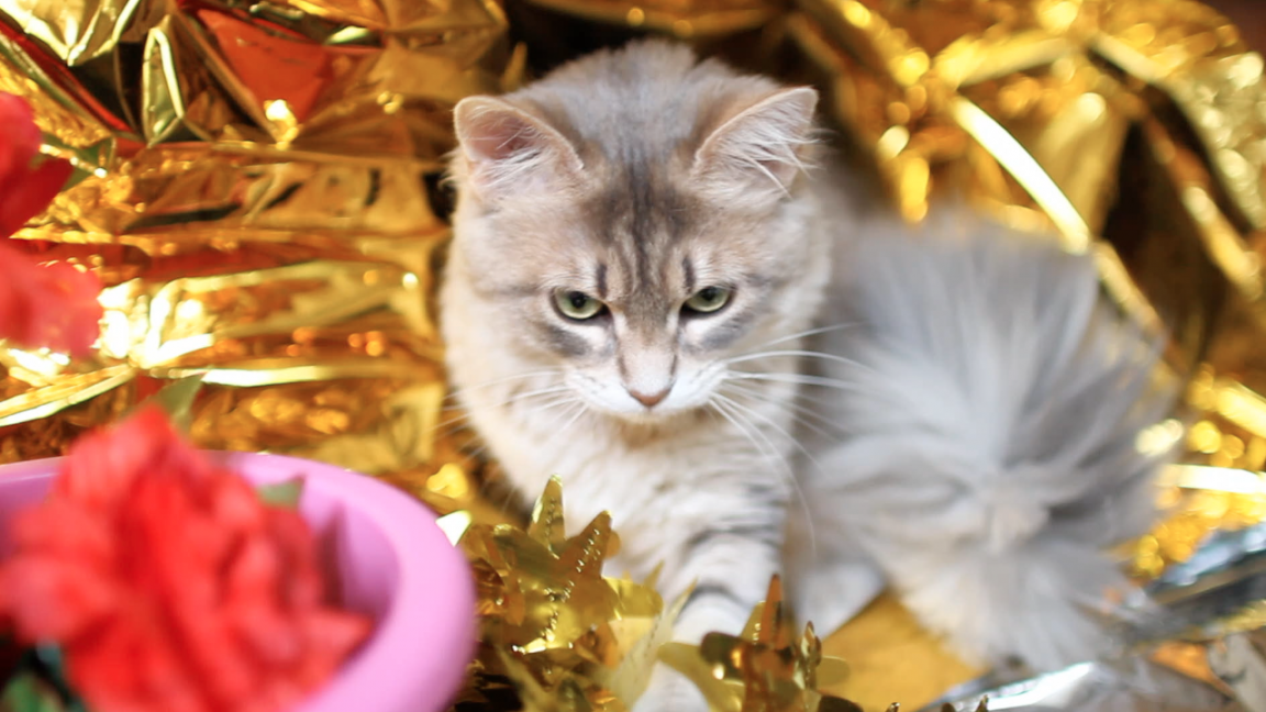 Mathilde Supe - Cruel Park